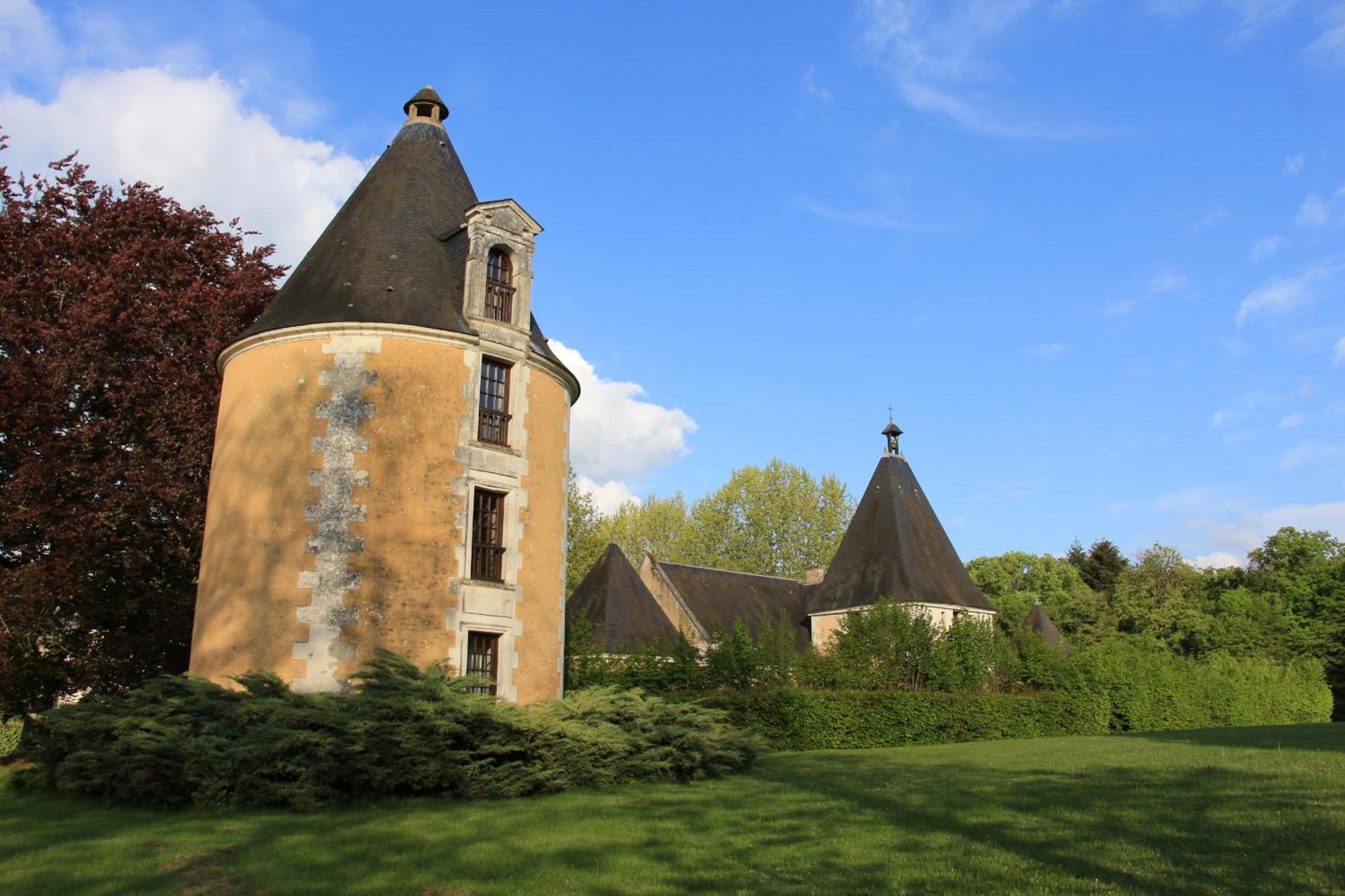 Chateau De La Menaudiere Chissay-en-Touraine ภายนอก รูปภาพ
