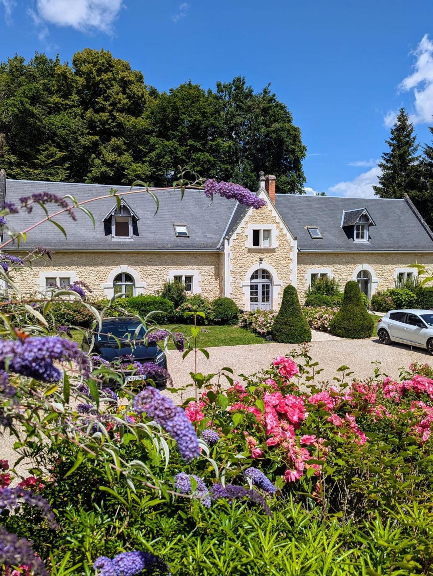 Chateau De La Menaudiere Chissay-en-Touraine ภายนอก รูปภาพ