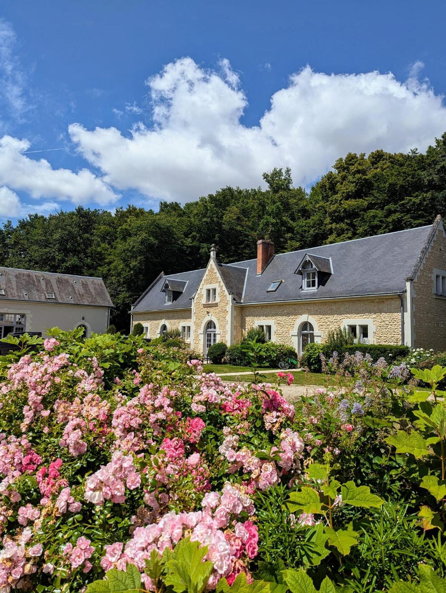 Chateau De La Menaudiere Chissay-en-Touraine ภายนอก รูปภาพ